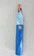 ZR-IA-DJYVRP阻燃型本安計算機(jī)電纜