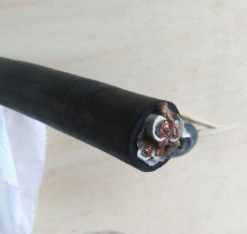 DJYPVP計(jì)算機(jī)電纜3*2*1.5